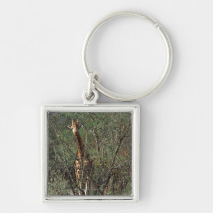 Massai Giraffe Keychain