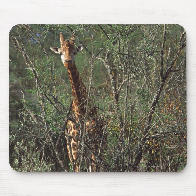Massai Giraffe Mouse Pad (Front)