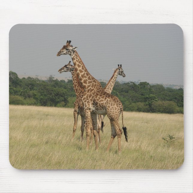 Massai Giraffes Mouse Pad (Front)