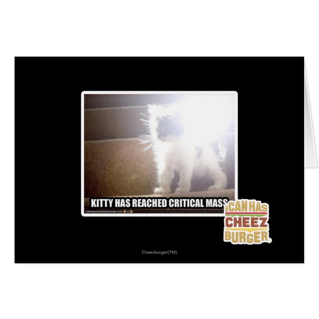 Masse critique Kitty (Devant horizontal)