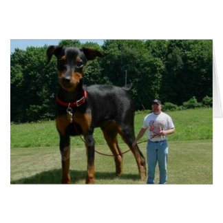 Massive Dog