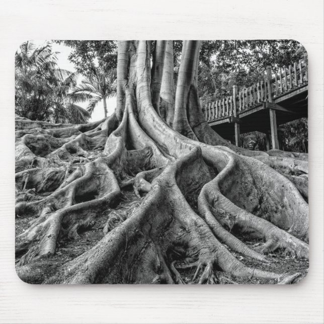 Massive rubber tree roots mouse pad (Front)