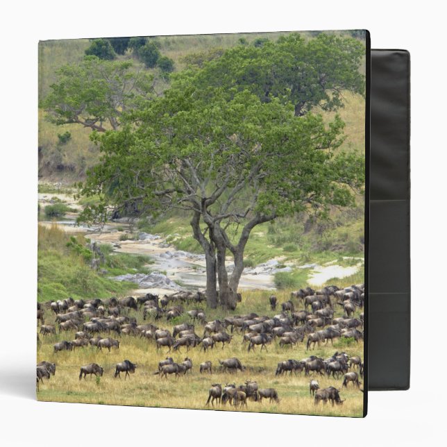 Massive Wildebeest herd during migration, Binder (Front/Inside)