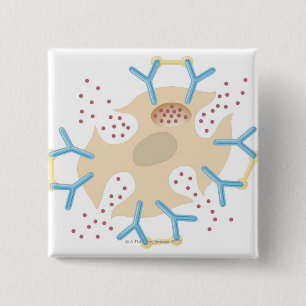 Mast Cell Releasing Histamine 2 Inch Square Button