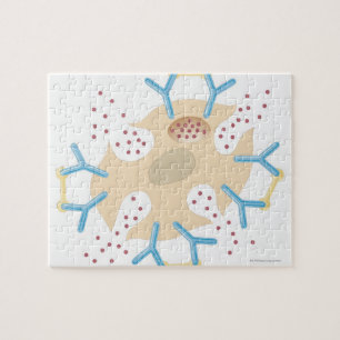 Mast Cell Releasing Histamine Jigsaw Puzzle