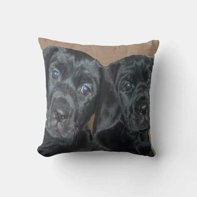 Mastador Puppies Pillow (Front)