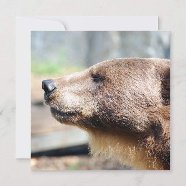 Master Bruin (Front)