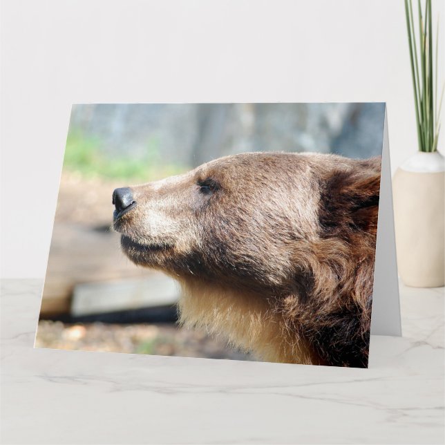 Master Bruin Card (Front)