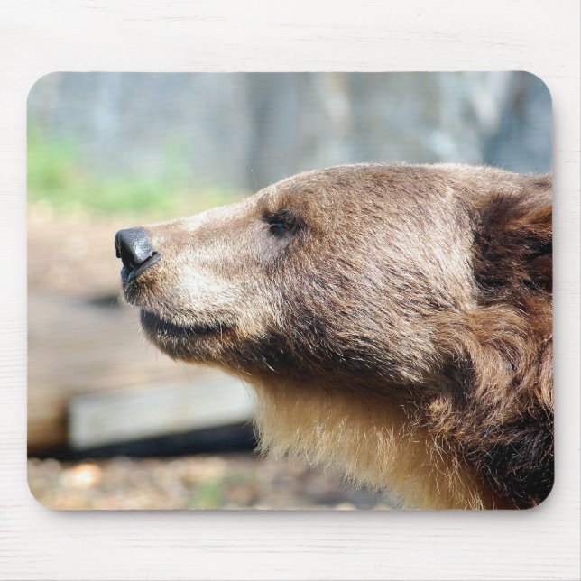 Master Bruin Mouse Pad (Front)