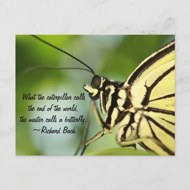 Master Butterfly Photo and quote Postcard (Front)