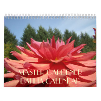 MASTER GARDENER Dahlia Fleurs Calendrier Cadeaux