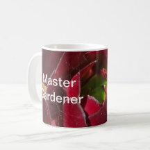 Master Gardener Red Succulent Photo Landscaper
