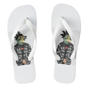Master Oogway-slippers Flip Flops