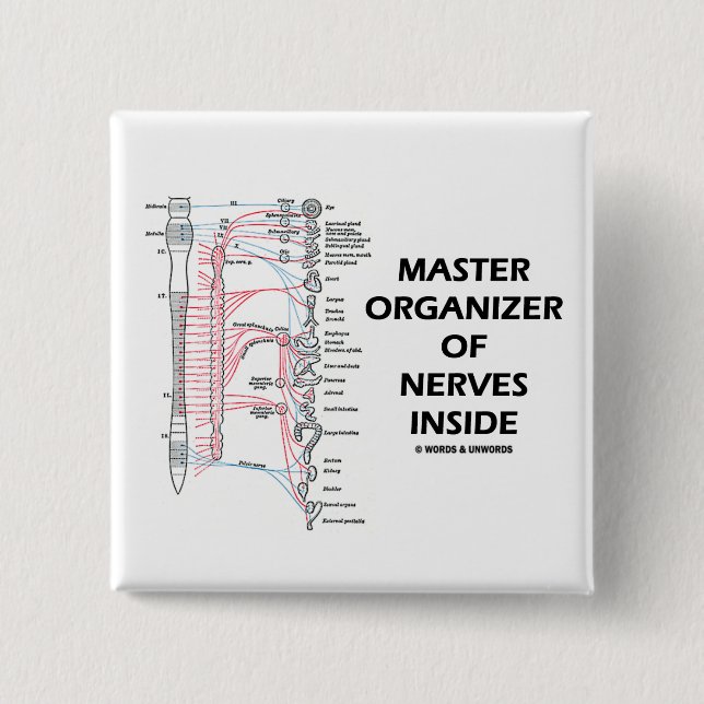 Master Organizer Of Nerves Inside (Autonomic) 2 Inch Square Button (Front)