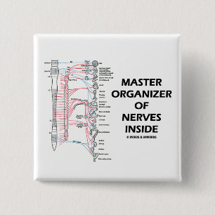 Master Organizer Of Nerves Inside (Autonomic) 2 Inch Square Button