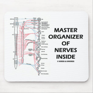 Master Organizer Of Nerves Inside (Autonomic) Mouse Pad