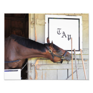 Master Plan Photo Print