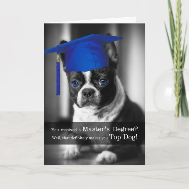 Master's Degree Graduate Cute Boston Terrier Dog Card (Front)