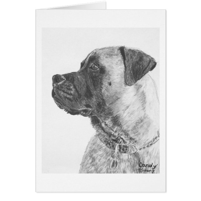 Mastiff (Devant)