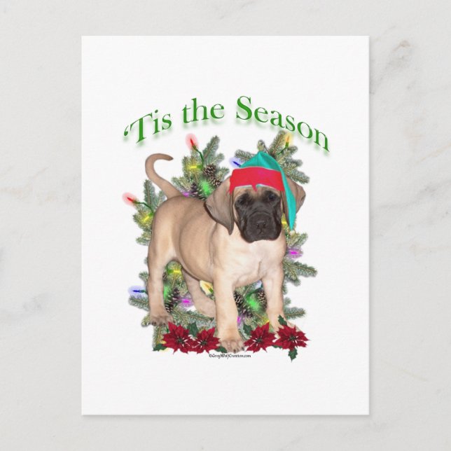 Mastiff 2 ‘Tis Postcard (Front)