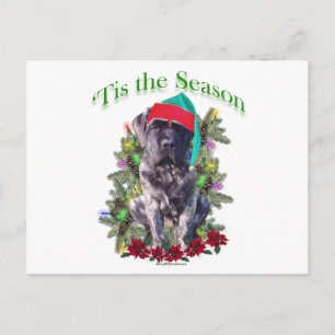 Mastiff 3 ‘Tis Postcard