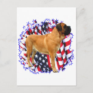 Mastiff (apricot) Patriot Postcard