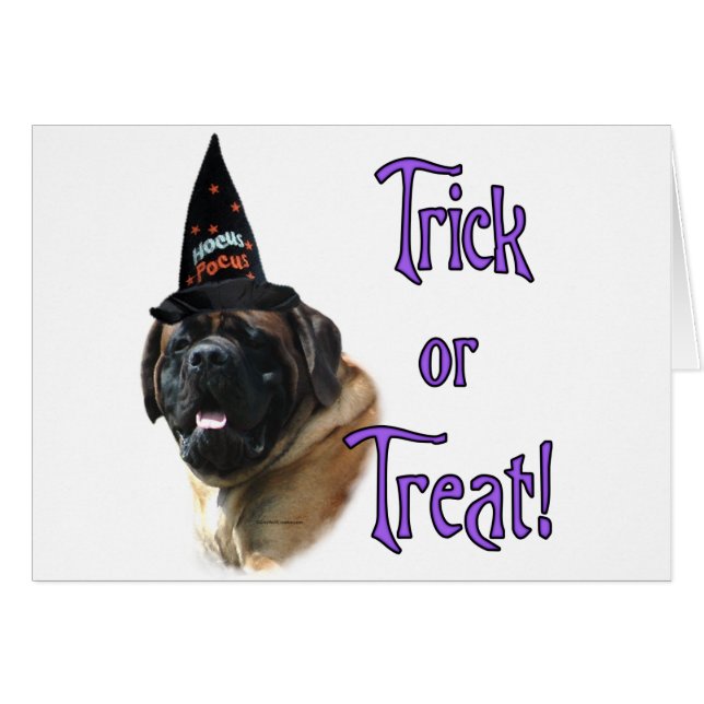 Mastiff (apricot) Trick (Front Horizontal)