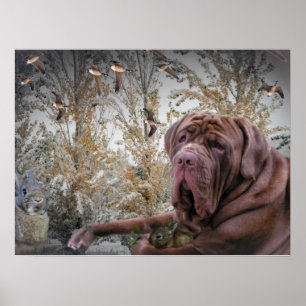 Mastiff avec petit poster de lapin