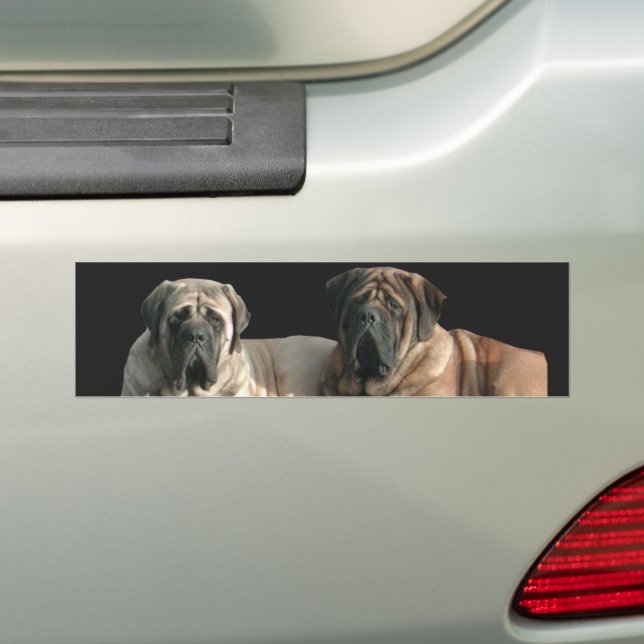 Mastiff Best Friends   Bumper Sticker (On Car)