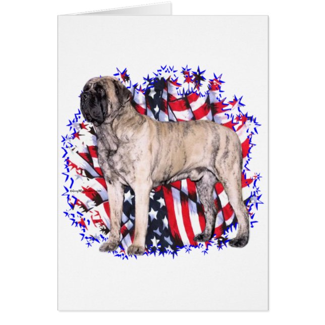 Mastiff (brindle) Patriot (Front)