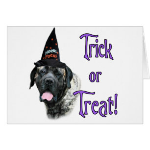 Mastiff (brindle) Trick
