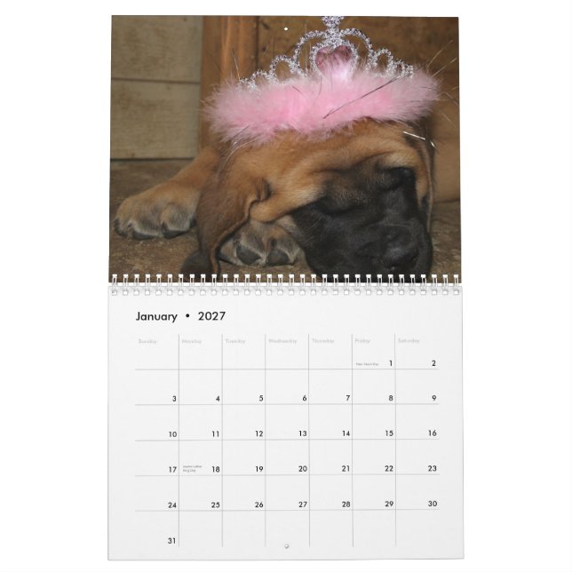 Mastiff calendar (Jan 2027)