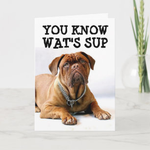 MASTIFF CHIEN CARTE D'ANNIVERSAIRE