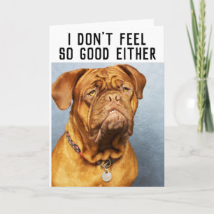 MASTIFF CHIEN FUNNY OBTENEZ DES CARTES DE BIEN
