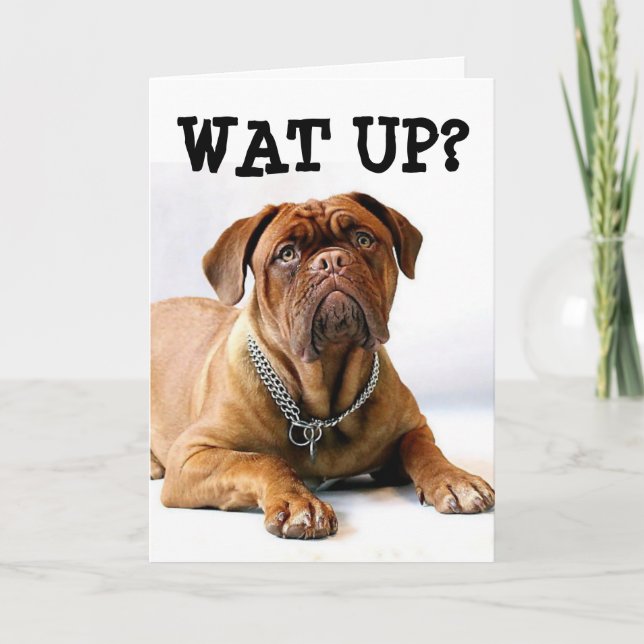 MASTIFF CHIEN PENSANT À VOTRE CARTE AMUSANTE (Devant)