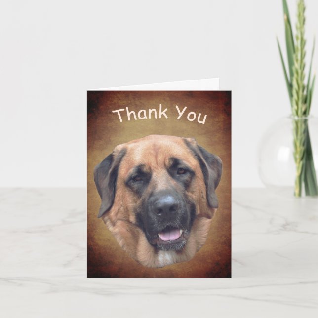 Mastiff Dog Customizable Thank You Card (Front)