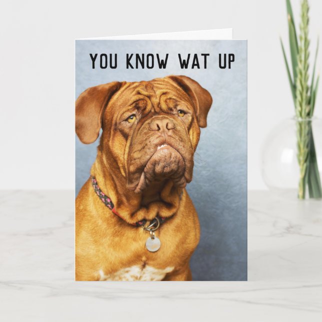 MASTIFF DOG FUNNY BIRTHDAY CARDS (Front)