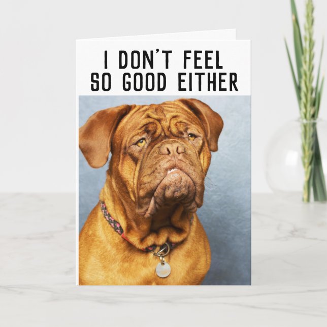 MASTIFF DOG FUNNY GET WELL CARDS (Front)