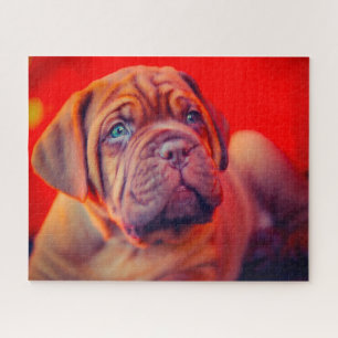 Mastiff Dog. Jigsaw Puzzle
