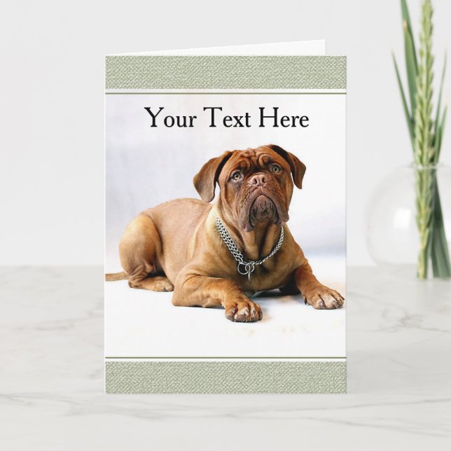 Mastiff / Dog on White Background Greeting Card (Front)