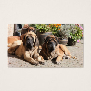 Mastiff Dogge Vatertag