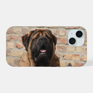 Mastiff Dogue de Bordeaux Fête des Pères