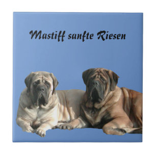 Mastiff English dogge Tile