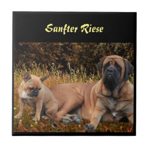 Mastiff English dogge Tile