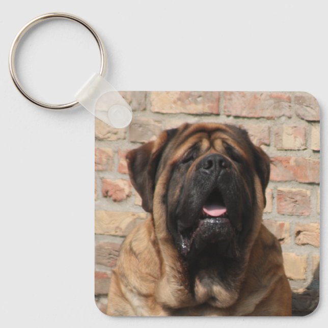Mastiff English Mastiff Father's Day  Keychain (Front)