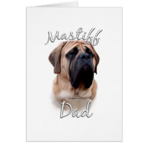 Mastiff (fawn) Papa 2