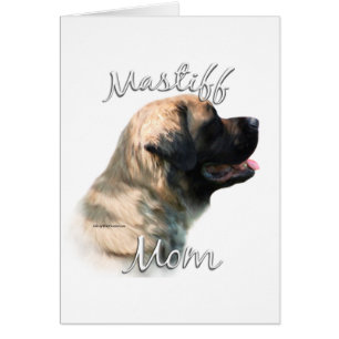 Mastiff (fluffy) Mom 2