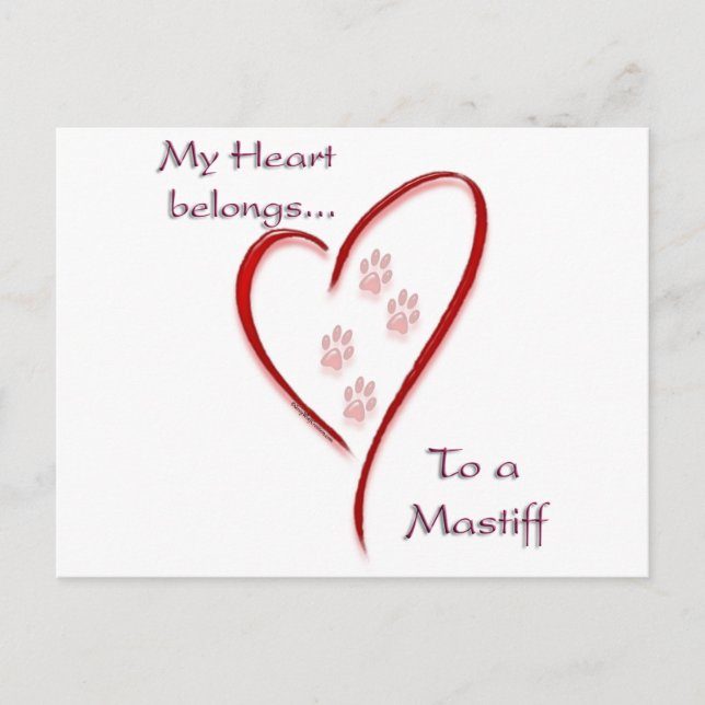 Mastiff Heart Belongs Postcard (Front)