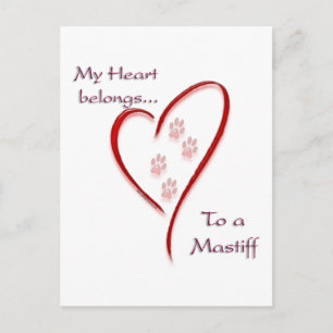 Mastiff Heart Belongs Postcard