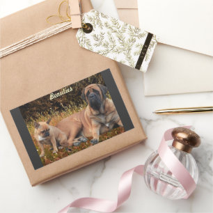 Mastiff mit französischer Bulldogge  Sticker